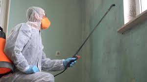 Best Industrial Mold Remediation in Collinsville, TX